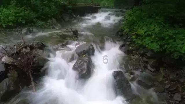 驱灵师